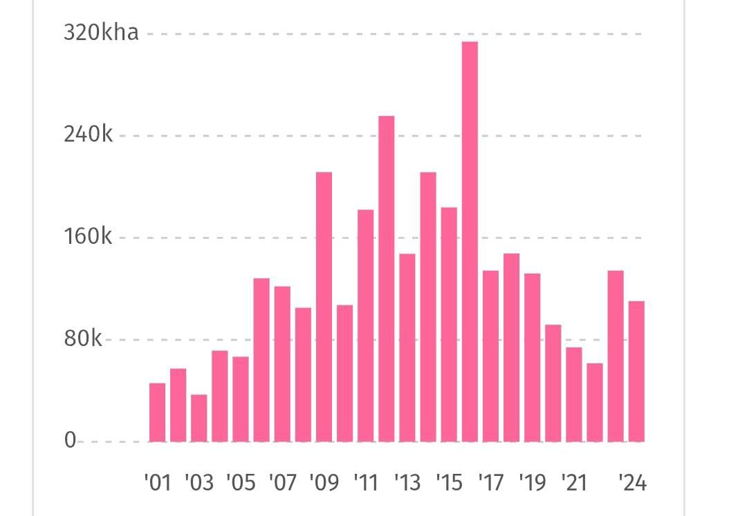 Deforestasi Tertinggi 2024