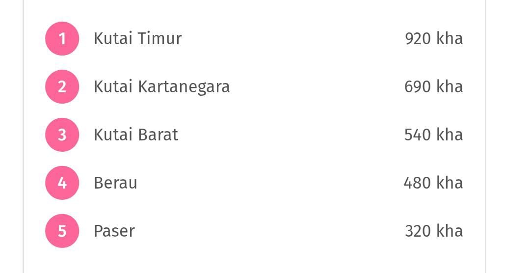 Deforestasi Tertinggi 2024