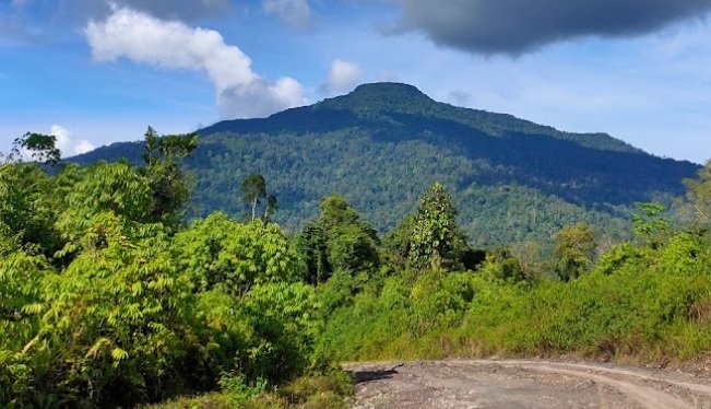 gunung di kalimantan timur
