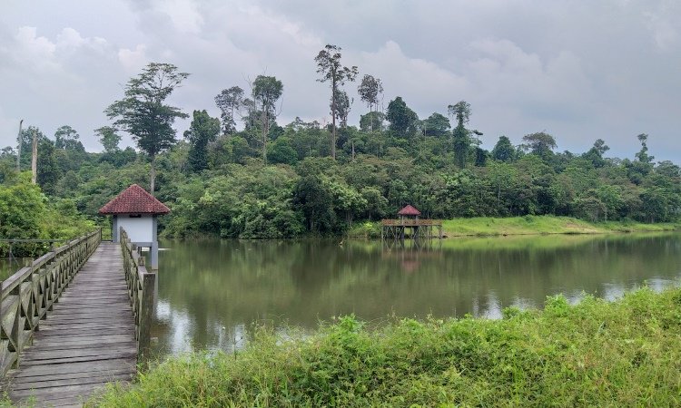 kebun raya balikpapan