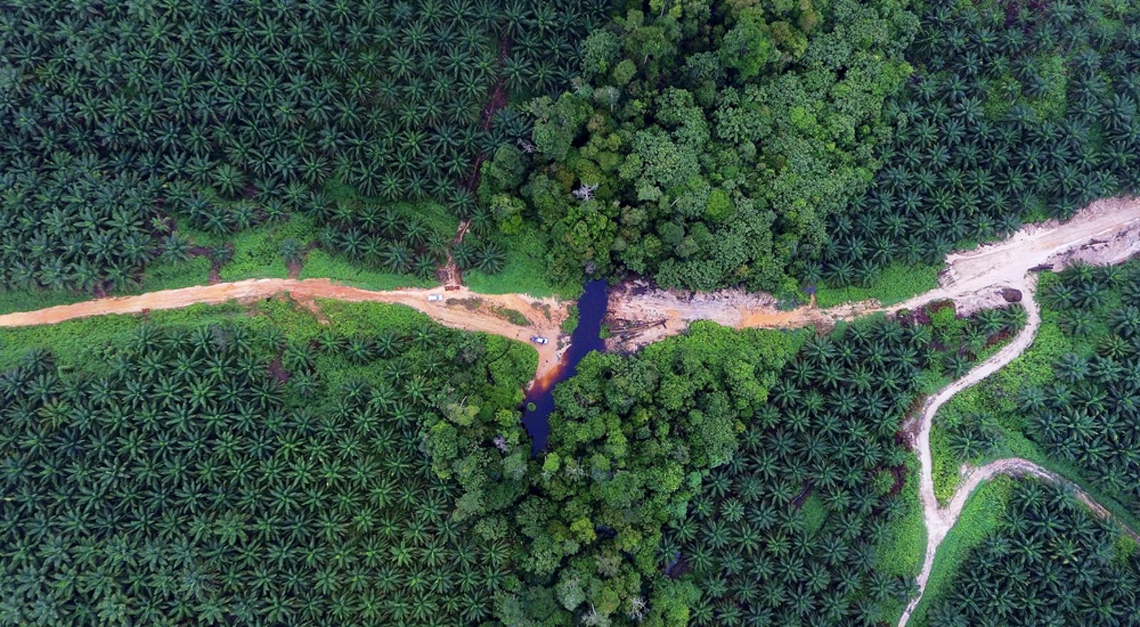 sumber daya alam kalimantan timur