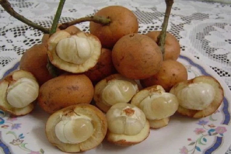 buah khas kalimantan timur