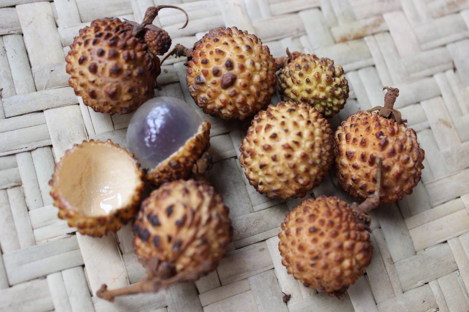 buah khas kalimantan timur