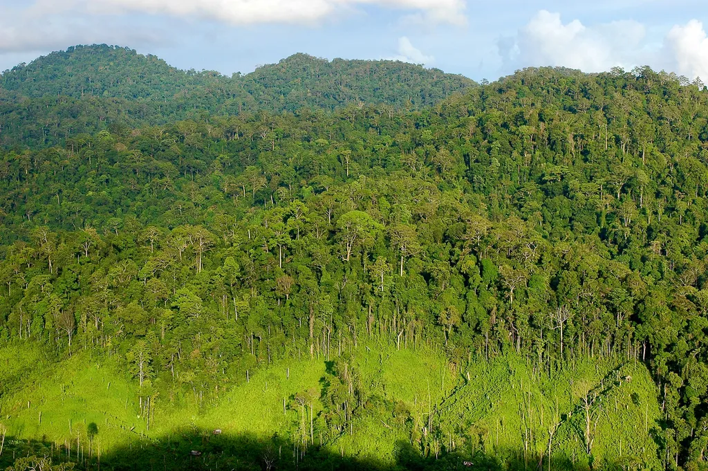 gunung di kalimantan timur