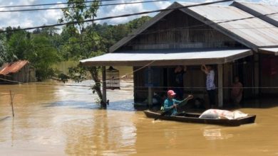 Di Balik Bencana Banjir Berau, Petaka Tambang Batu Bara hingga Oligarki Emas Hitam