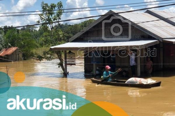 Di Balik Bencana Banjir Berau, Petaka Tambang Batu Bara hingga Oligarki Emas Hitam