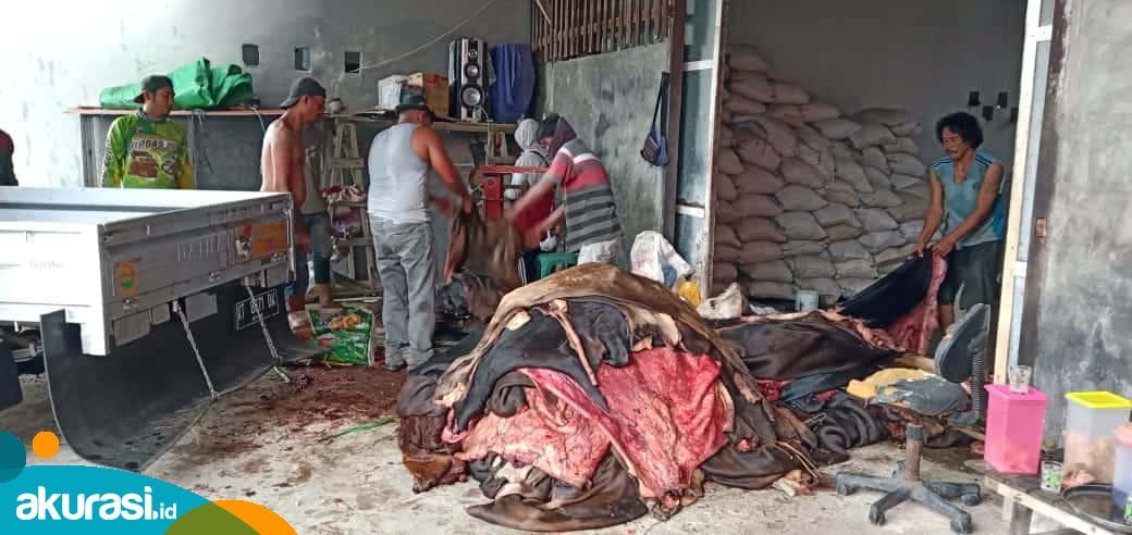 Berkah Iduladha, Pengepul Kulit Hewan Kurban di Bontang Bisa Raup Keuntungan Ratusan Juta