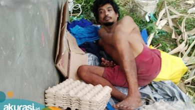 Bikin Panik, Pria di Bontang Nekat Berenang di Habitat Buaya, Esoknya Malah Didapati di Tempat Sampah