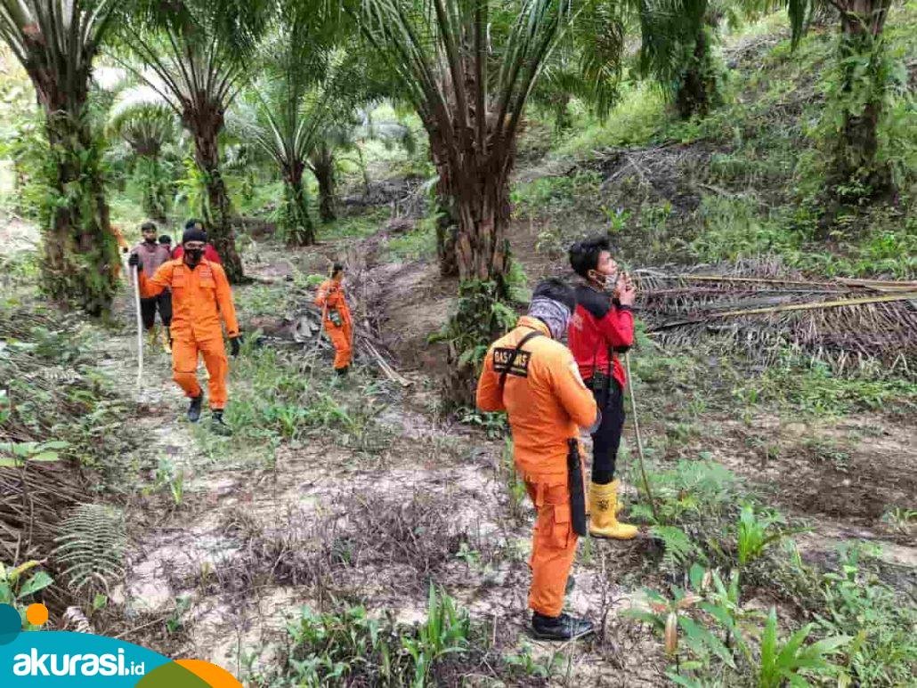 Lansia Raib di Hutan, Hari ke-4 Pencarian Belum Juga Ditemukan
