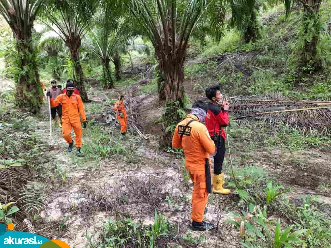 Lansia Raib di Hutan, Hari ke-4 Pencarian Belum Juga Ditemukan