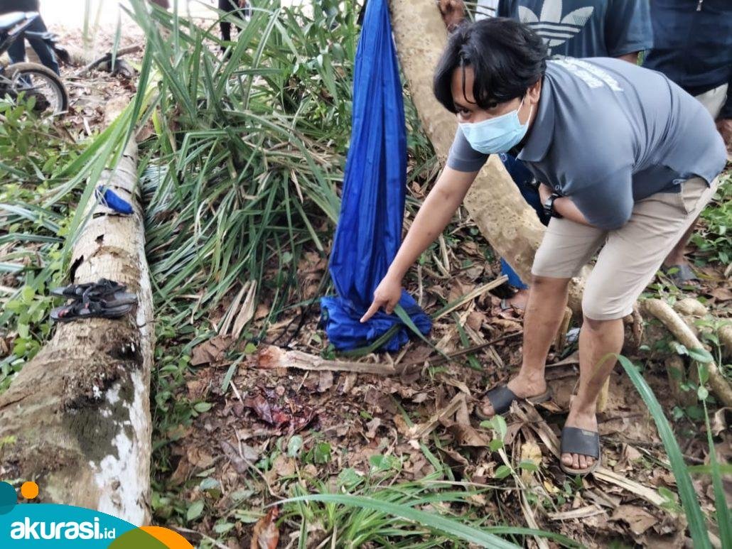 Piknik Berujung Maut, Remaja Kaliorang Tewas Tertimpa Pohon Saat Asyik Berayun di Hammock