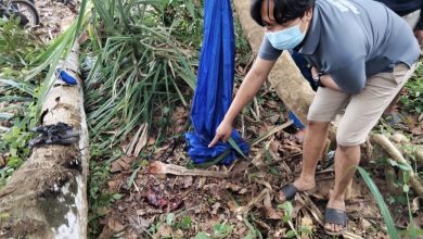 Piknik Berujung Maut, Remaja Kaliorang Tewas Tertimpa Pohon Saat Asyik Berayun di Hammock