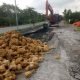 Tiga Perusahaan Tanggung Jawab Perbaiki Jalan Rusak di Bontang Lestari