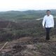 Presiden Joko Widodo ketika meninjau lokasi Ibu Kota Negara baru