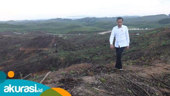 Presiden Joko Widodo ketika meninjau lokasi Ibu Kota Negara baru