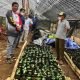 Melirik Potensi Bisnis Kopi di Kubar, Ekti Imanuel - akurasi.id