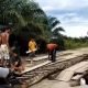 Tangkapan layar pembongkaran jembatan di kawasan Pendamaran, Kecamatan Kenohan, Kabupaten Kutai Kartanegara, akibat buntut video dugaan pungli. (Istimewa)