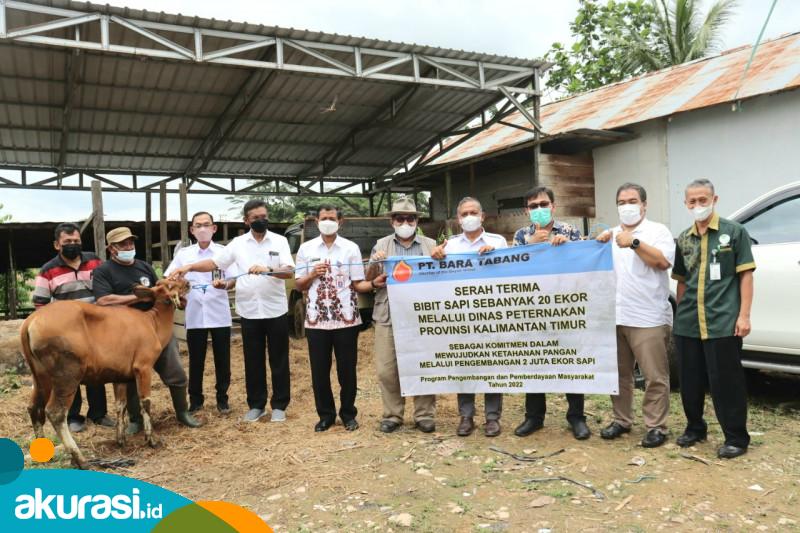 Program Korporasi Desa 1.000 Sapi, DPKH Kaltim Mulai Gelontorkan Untuk PPU