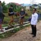 Masuk Zona Hijau, Alhamdulillah Bontang Bebas PMK