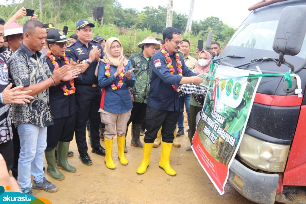 Jadi Primadona, Kutai Timur Kembali Ekspor 60 Ton Pisang Krecek ke Singapura