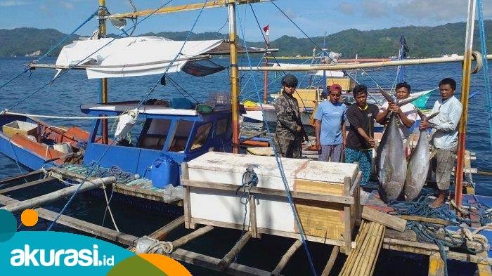 DPMPTSP Kaltim Ingin Bontang Ada Pembangunan Industri Pengalengan Ikan: Hasil Tangkap Ikan Terus Naik Jadi Acuan