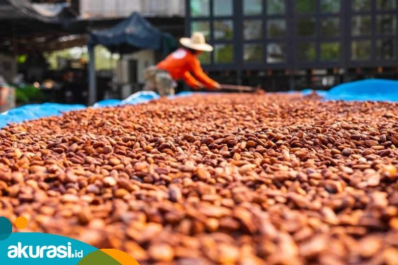 Sektor Perkebunan Kaltim Jadi Investasi yang Menggiurkan untuk Dongkrak Penanaman Modal