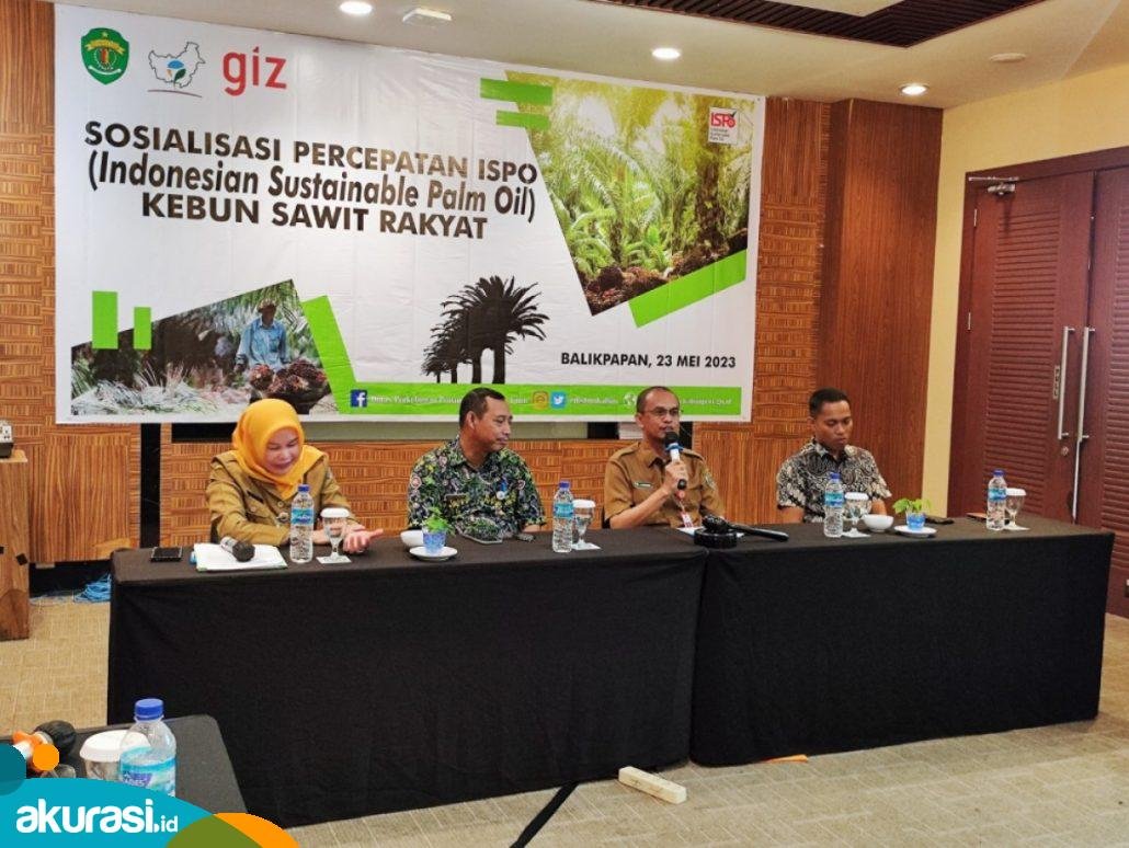 Disbun Kaltim Dorong Percepatan ISPO Kebun Sawit Rakyat