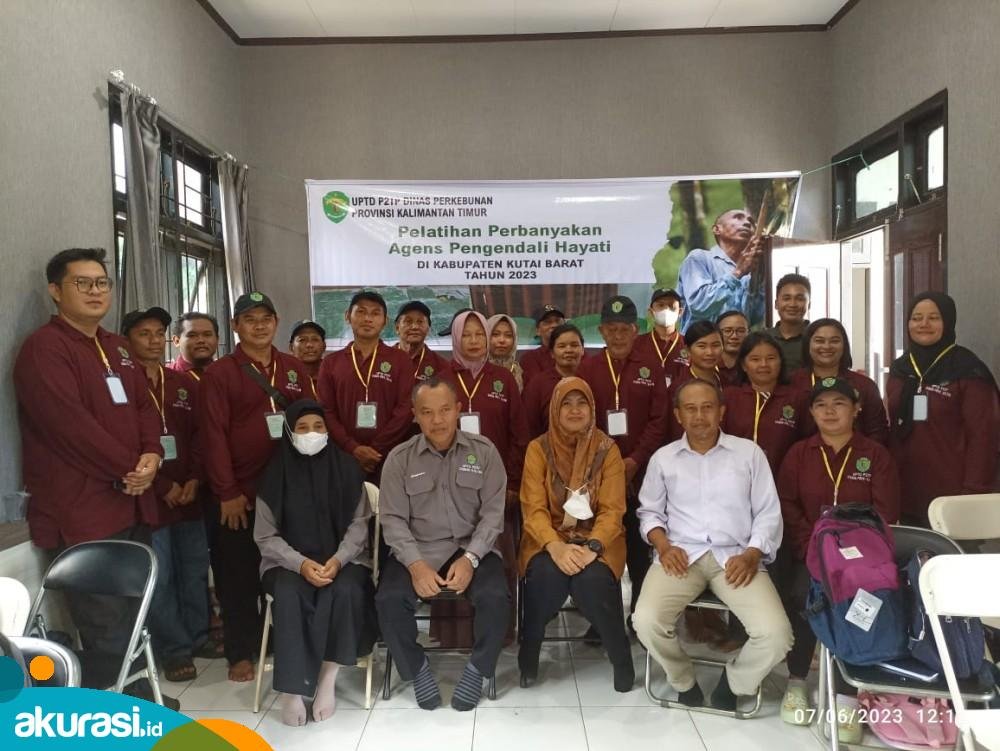 UPTD P2TP Disbun Kaltim Gelar Pelatihan Perbanyakan Agens Pengendali Hayati di Kutai Barat