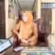 SMKN 3 Samarinda Melaksanakan PPDB 2023 Jalur Reguler