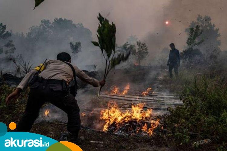 Waspada Bahaya El Nino, BPBD Samarinda Antisipasi Adanya Potensi Karhutla