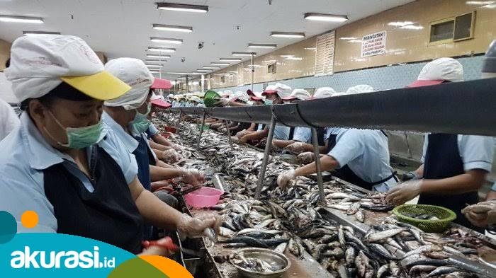 Potensi Pengalengan Ikan Menjanjikan, DPMPTSP Kaltim Tekankan Keuntungan