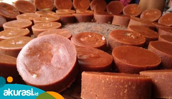 Jadi Komoditas Unggulan, Aren Punya Potensi Investasi di Paser