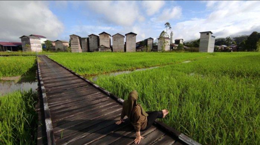 Melihat Cara Warga Desa Muara Siran Memanen “Emas” Walet dengan Menjaga Lahan Gambut (2-habis)