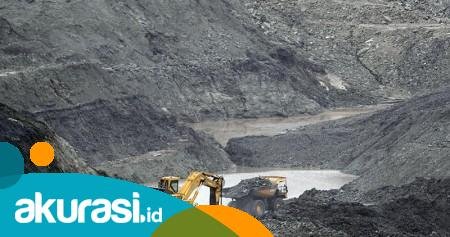 Pelaksanaan ALKI II, Kepala DPMPTSP Balikpapan Manfaatkan Tarik Banyak Investor