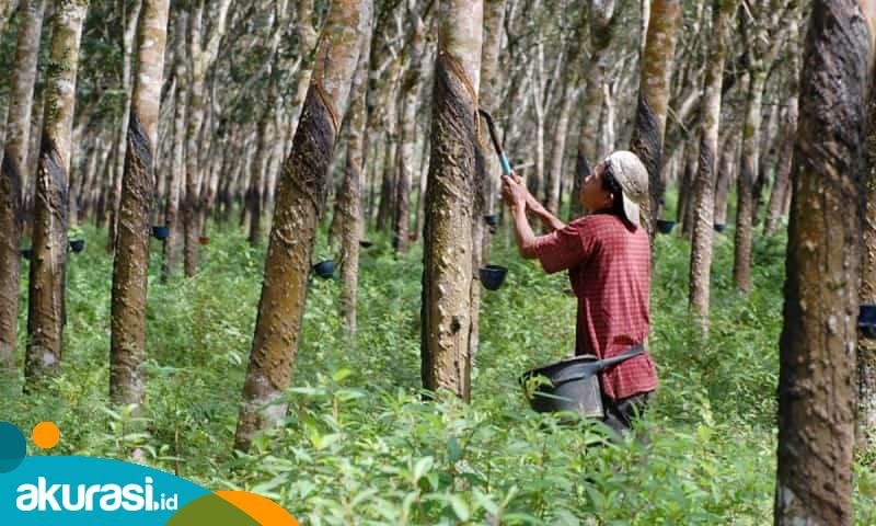 Turut Andil di BIMP-EAGA, DPMPTSP Kaltim Kembangkan Peluang Investasi