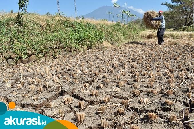 Dinkes Kaltim Waspadai Sejumlah Penyakit Terjadi Saat Musim Kemarau