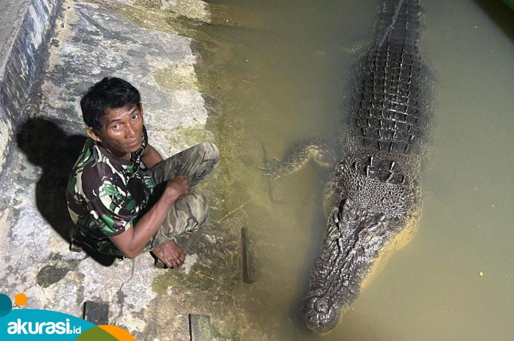 Ambo Yakin Bukan Buaya Riska yang Terkam Warga Guntung