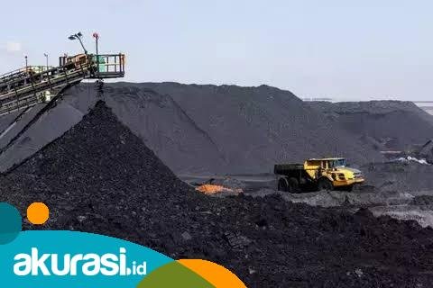 DPMPTSP Kaltim Dorong Investasi Berkelanjutan, Alihkan Fokus ke Hilirisasi Batu Bara