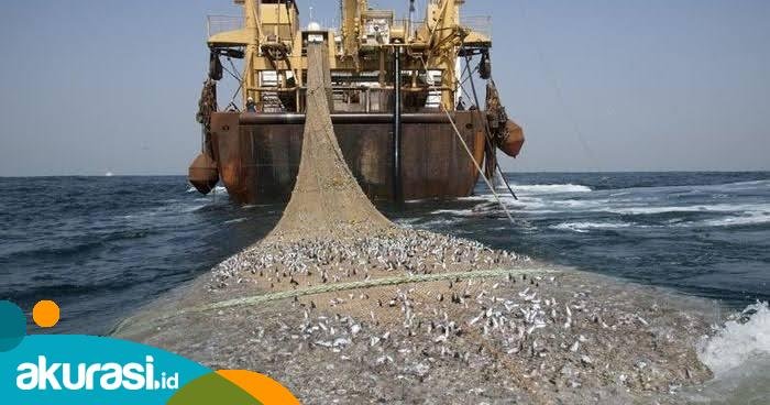 Penggunaan Bom Ikan Masih Mengancam Perairan Kaltim
