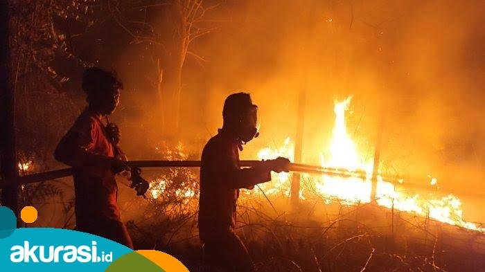 BPBD Imbau Masyarakat Waspada Karhutla, Puncak Cuaca Panas Diprediksi 10 September