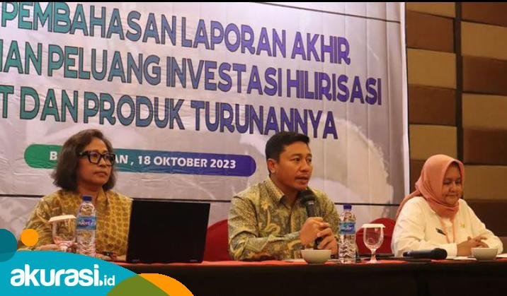 Industri Crumb Rubber, Jadi Fokus DPMPTSP Bangun Hilirisasi Karet
