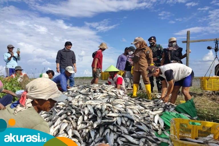 Pembudidayaan Ikan Bisa Jadi Potensi Investasi Ekonomi Biru di Kaltim