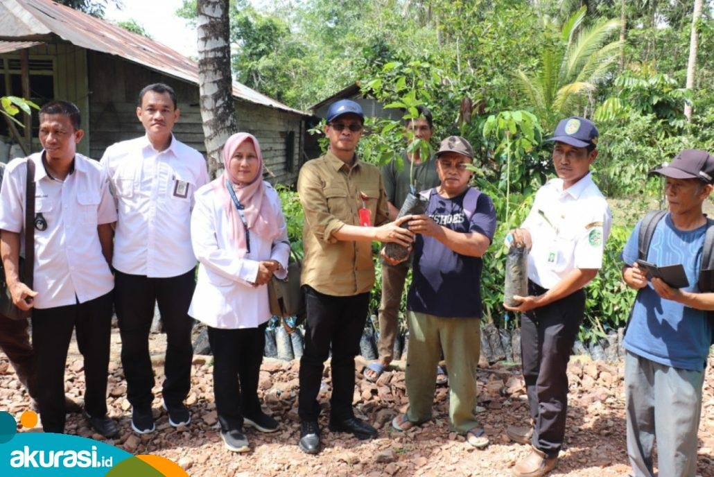 Disbun Kaltim Bantu Bibit Karet dan Pupuk untuk Desa Handil Terusan