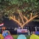 Potensi Industri dan Pariwisata di Tepian Mahakam, Jadi Ladang Investasi di Samarinda