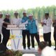 Penuhi Kebutuhan Listrik IKN, Presiden Jokowi Resmikan Pembangunan PLTS 50 MW