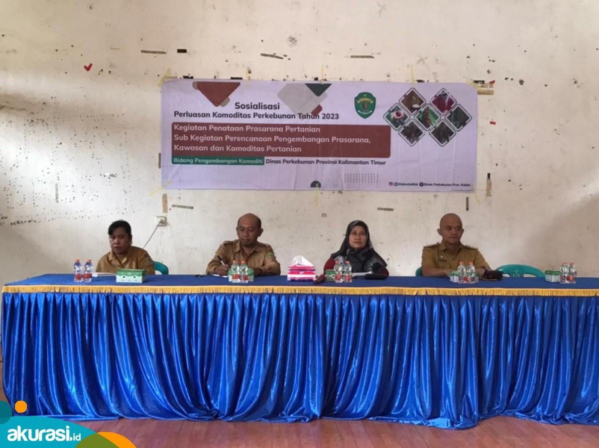 Pendampingan dan Pelatihan Petani Kunci Sukses Peningkatan Produktivitas Perkebunan