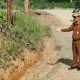 Peningkatan Jalan Desa Jabdan, Camat Muara Wahau Tinjau Lokasi Pembangunan