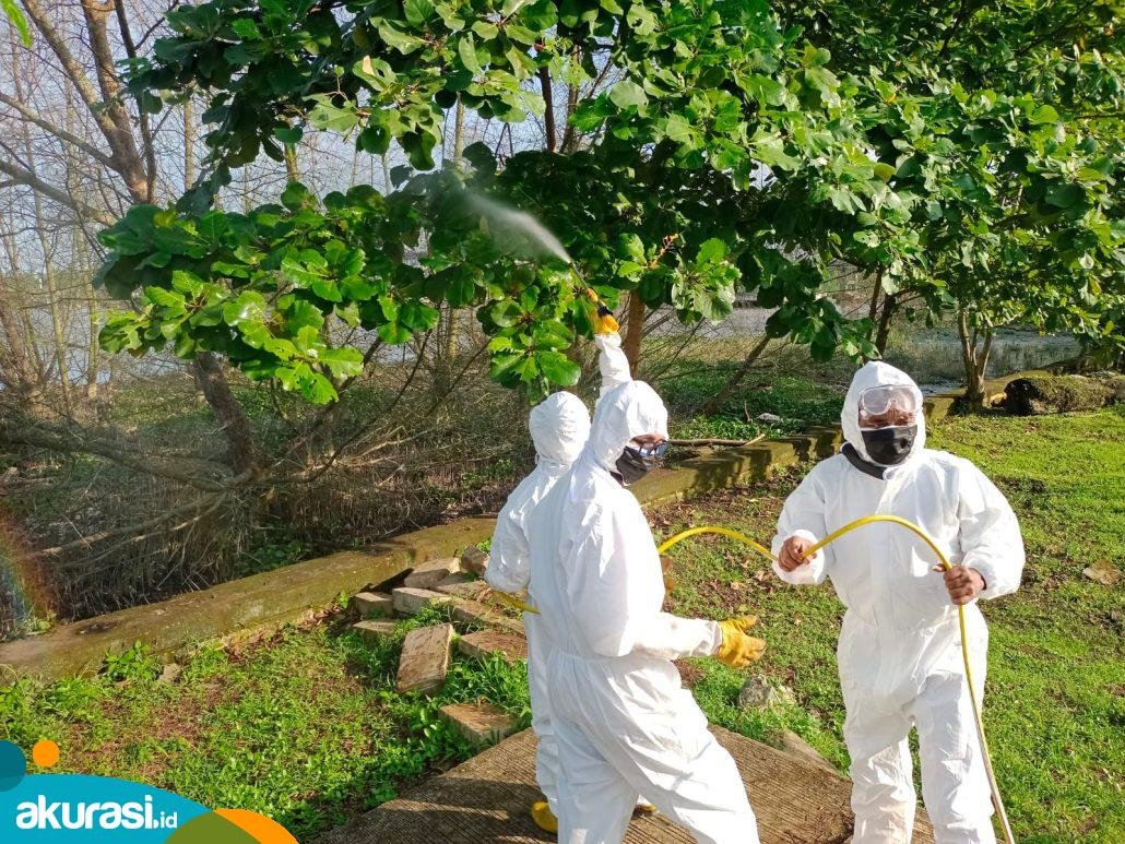 Tangani Ulat Bulu, Taman Bebaya Samarinda Disemprot Pestisida