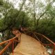 Disbudpar PPU Dukung Pemberdayaan SDM di Ekowisata Mangrove Kampung Baru