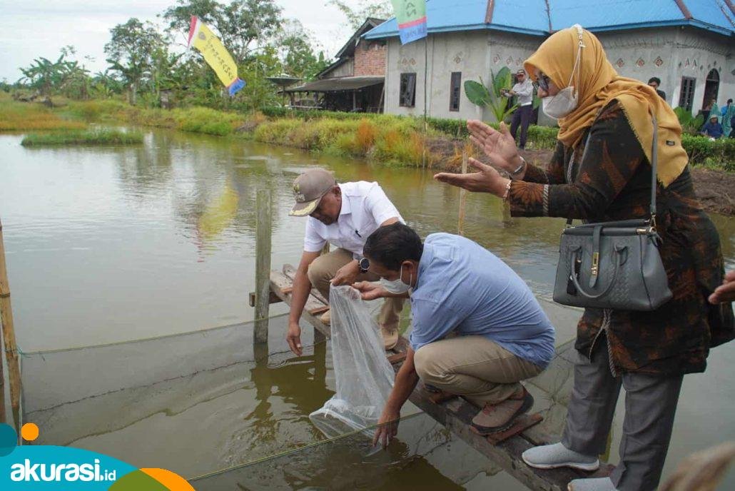 Persiapan Pangan IKN, Dinas Perikanan PPU Bakal Kembangkan Budi Daya Ikan Air Tawar